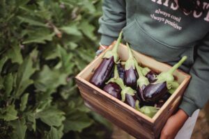 eggplant keto superfood